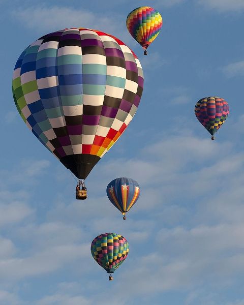 Mass Ascension Albuquerque International Balloon Fiesta-Albuquerque-New Mexico